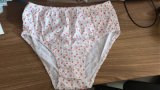 Wholesale Women's Cotton Panties Ladies Hipster Underwear Briefs