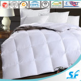 100% Polyester Peach Skin Box Quilted Comforter