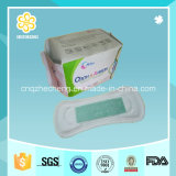 OEM Brand Green Chip Panty Liners for Women