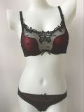 Classic Plunge Bra and Panty for Ladies (CS03224)