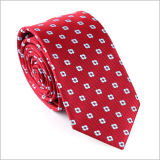 New Design Fashionable Polyester Woven Tie (828-13)