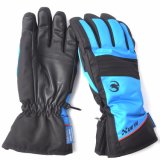Fgv023mbl Winter Touch Screen Waterproof Windproof Motorcycle Racing Sport Gloves
