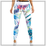 Newest Promotional Hot Sales Casual Yoga Pants Women Sexy Leggings