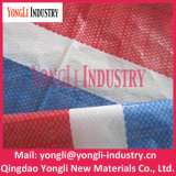 50GSM-300GSM Korea PE Tarpaulin with UV Treated for Car /Truck / Boat Cover