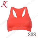 Fashion Design Gym/ Sports Bra (QF-S312)