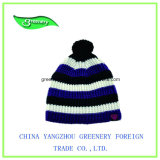 Fashion Promotional Color Winter Knit Hat with a Label