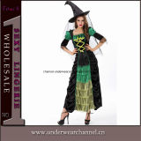 Wholesale Halloween Witch Fancy Dress Costumes Suits (5895)