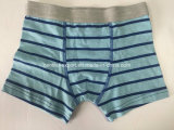 Hot Stripe Cottom Men Boxer Short Men Underwear