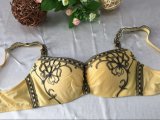 Fancy Design Sexy Bra Lady Underwear