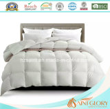 Classic White 30% Goose Down 70% Feather Duvet Duck Down Quilt
