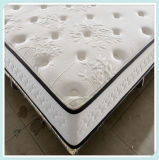 10 Inch Latex Spring Mattress for Newly Married People