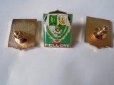 Brass Polish Gold Plated Epoxy Coated Pin Badge