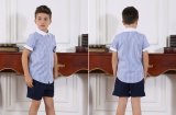 Customized Fashion Stylish Primary School Boy's and Girl's Uniform S53106