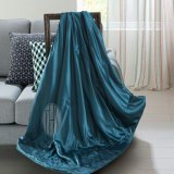 Taihu Snow Hotsale Oeko-Tex 100 Bed Linen Silk Bedding Silk Throw Silk Blanket