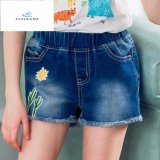 Fashion Hot Sale Denim Shorts with Cute Embroidery for Girls by Fly Jeans
