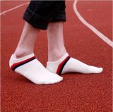 Simple Pure Color in Bright Stripes Cotton Ankle Sock