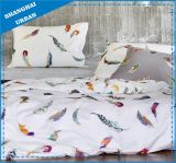 Modern Design 300tc Cotton Quilt Cover Bed Linen
