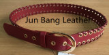 Various Colours & Fashion Women PU Belt in High quality