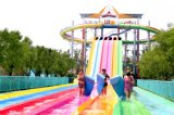 Slip Carpet Octopus Water Slide, Big Water Amusement Park Equipment (DL051)