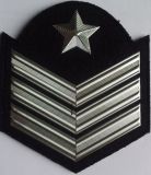 Epaulet and Shoulder Board and Military Uniform