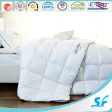 Super Soft Warm Down Alternative Comforter with Embroidery, Queen Size