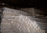 Jf Manufacturter 100% HDPE Agricultural Anti Insect Netting Greenhouse Net