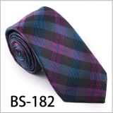 New Design Fashionable Silk/Polyester Check Tie (BS-182)