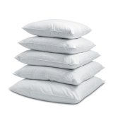 Cushion Size 50*50/55*55/65*65 Cm Quality White Duck Feather Pillow
