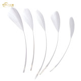 Best Price of Washed  Duck  Feather  for Sale