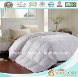 Best Selling Down Blanket White Goose Feather and Down Quilt