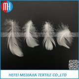 Wholesale High Quality Washed White Goose Feather