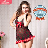 Fashion Top Brand OEM Service Ladies Popular Wholesale New Arrivals Sexy Lingerie