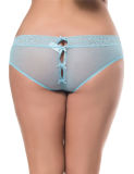 China OEM Welcoemd Hot Sale Wholesale Price Blue Back Croch Sexy Plus Size Underwear