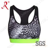 Spandex and Breathable Sports Bra (QF-S381)