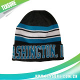 Jacquard Customized Striped Winter Knitted/Knit Sport Hats (079)