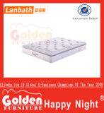 Made in China European Size Mattress and Healthy