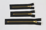Brass Zipper (7019)