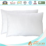 20 X 26inch 100% Cotton Dobby Fabric Down Alternative Pillow