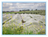 Virgin HDPE Green Vegetable Plants Insect Nets White Fly Net, Anti Aphid Net, Anti Insect Net for Greenhouse