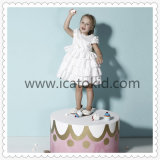 Classical Cap Sleeve Birthday Party Girl Dress