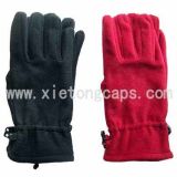 Fashion Lady's Fleece Gloves, Winter Warm Glove (JRG038)