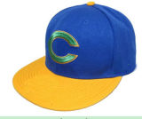 Snapback Hat Custome Baseball Hat Sport Hat