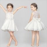 Kd1062 Summer Fantastic Lace Little Princess Dresses Sleeveless Tutu Dresses Evening Gowns Dress with Pure Yarn Lace Back for Retail