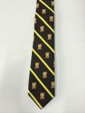 Fashion School Boy's Micro Fibre Neckties