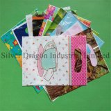 Top Quality LDPE Handle Bag for Gift Packing