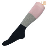 Women's Colorful Knee High Sock