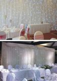 LED Backdrop Twinkling Star White Curtain for Wedding Show
