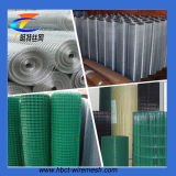 Changte 1/2'' PVC Welded Wire Mesh (anping factory)
