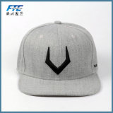 3D Embroidery Logo Promotion Flat Cap Baseball Hat