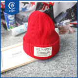 Fashion Hip-Hop Cap Women's Men's Unisex Warm Winter Knit Hat